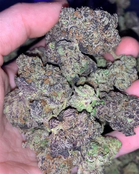 pink runtz strains.